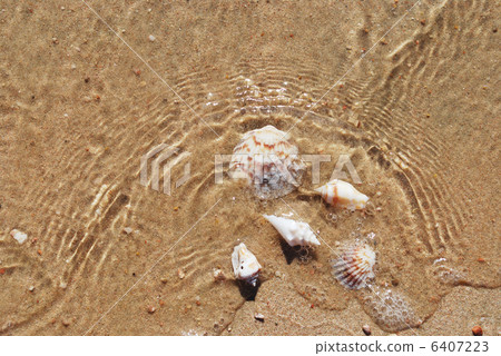 different seashells on a beach sand, different seashells on a beach sand, 6407223