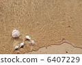 different seashells on a beach sand, 6407229