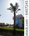 high  palm on sky background with sun 6407245