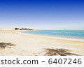 sand beach with sea and palms in Egypt 6407246