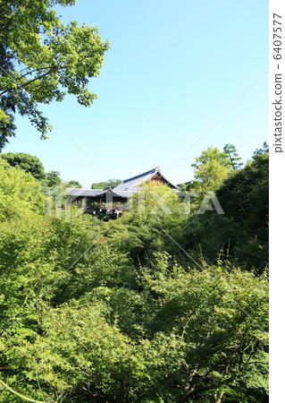 Tsutenbashi surrounded by greenery 6407577