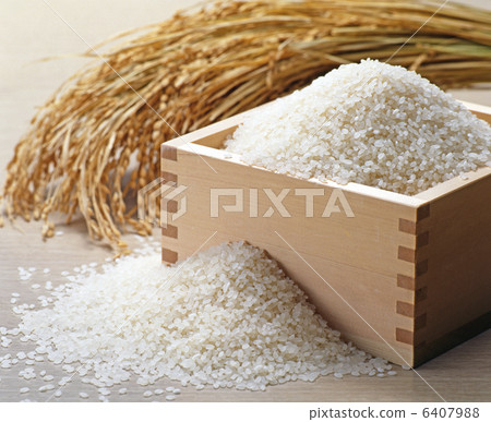 水稻影像 水稻影像 6407988