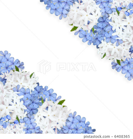 Flower arrangement diagonal arrangement 6408365