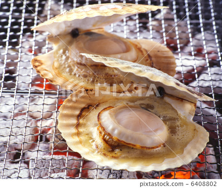 扇貝扇貝 6408802