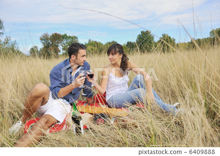 happy couple enjoying countryside picnic in long grass 6409888