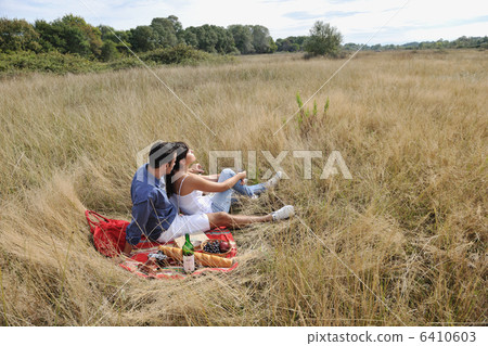 happy couple enjoying countryside picnic in long grass 6410603