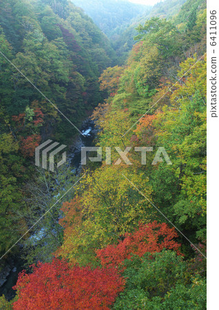 在Nakatsugawa谷的秋葉 6411096