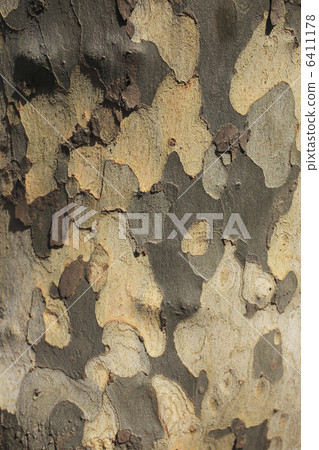 Suzukake's skin Suzukake's skin 6411178