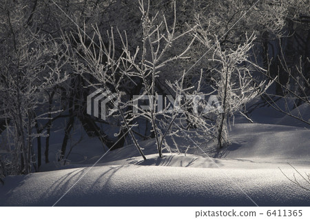 朝陽照耀著大雪 6411365