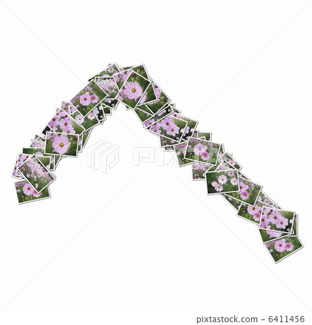 Hiragana in flower photos 6411456