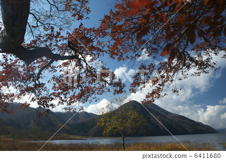 Akimoto湖秋葉 Akimoto湖秋葉 6411680