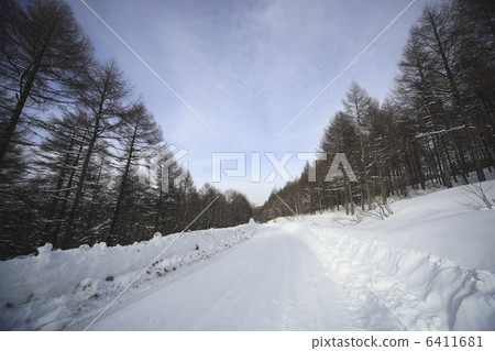 Kuruma Kogen的雪道 6411681