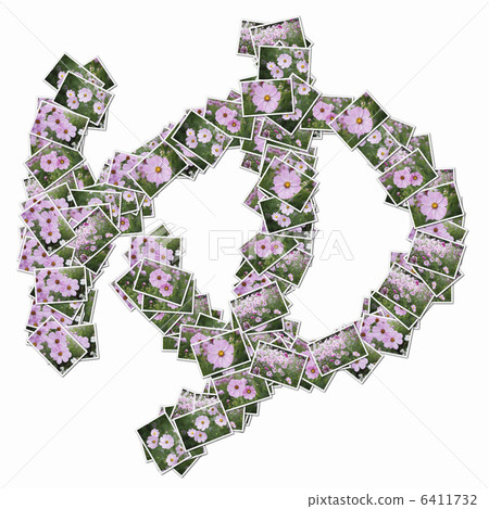 Hiragana in flower photos Hiragana in flower photos 6411732