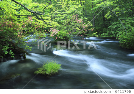 Oirase stream Oirase stream 6411796