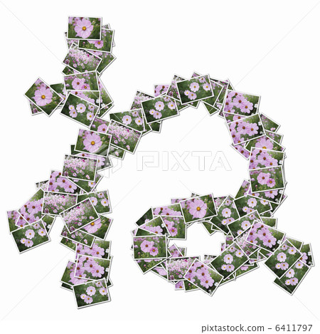 Hiragana in flower photos Hiragana in flower photos 6411797