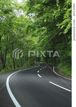 Fresh green road 6412064