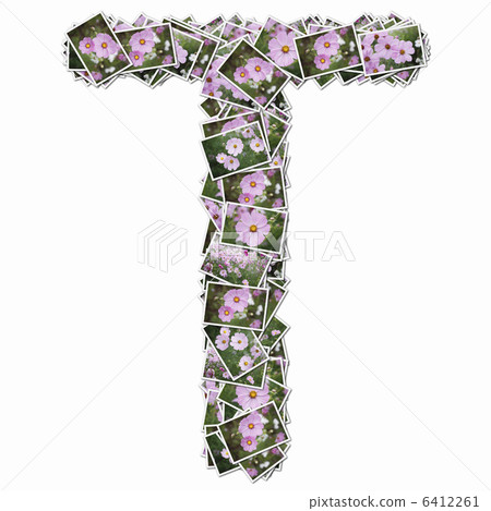 字母表的大寫字母與花圖片的 6412261