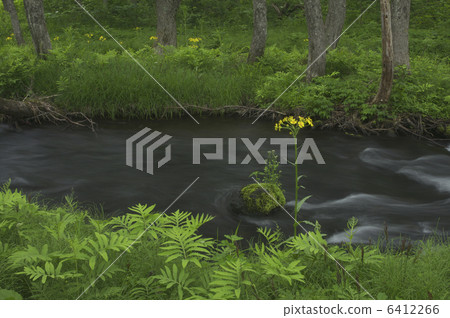 Nagase River and Sawa Goruma Saw 6412266