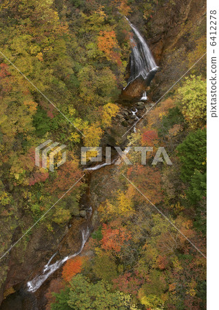 秋天的樹葉 6412278