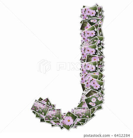 字母表的大寫字母與花圖片的 字母表的大寫字母與花圖片的 6412284