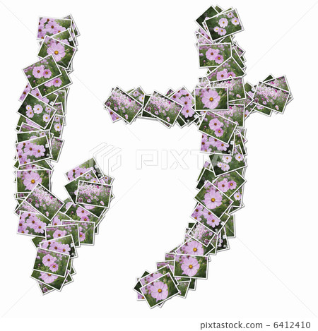 在花照片的平假名 6412410