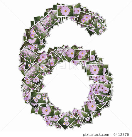 花卉圖片中的數字 6412876