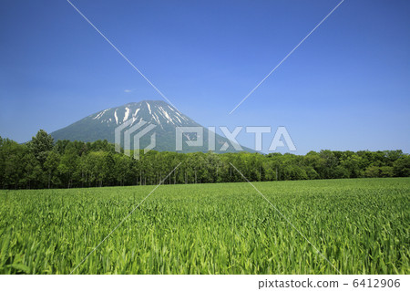 Mt. Yotei and fields Mt. Yotei and fields 6412906
