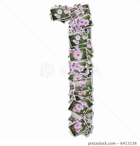 花卉圖片中的數字 6413136