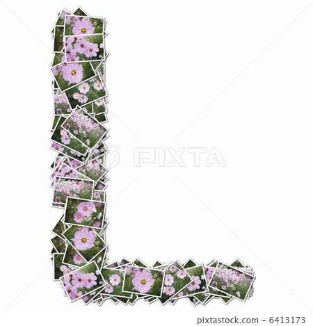 字母表的大寫字母與花圖片的 6413173