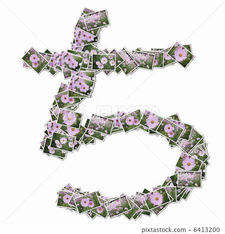 在花照片的平假名 在花照片的平假名 6413200