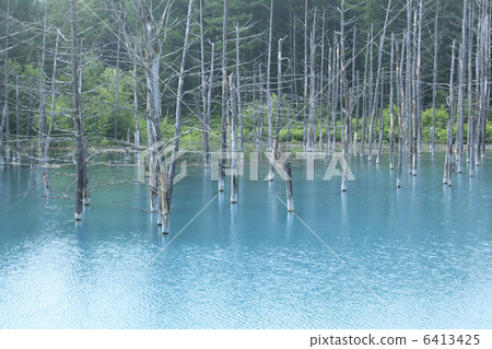 藍塘 藍塘 6413425