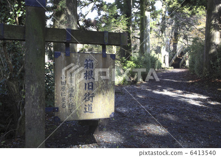 Hakone Old Road 6413540