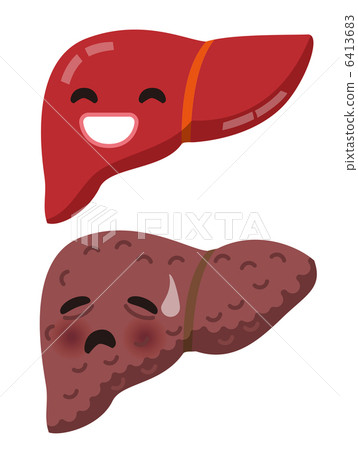 Healthy liver and unhealthy liver 6413683
