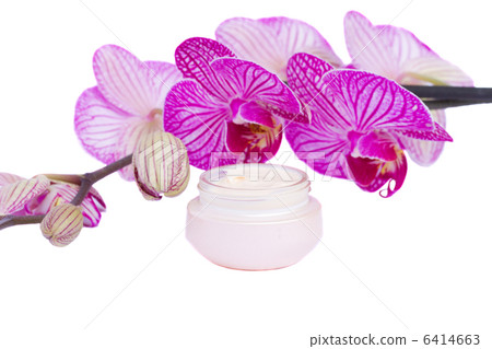 moisturizer cream and orchid flower 6414663
