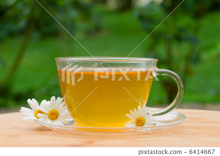 cup of tea with camomile cup of tea with camomile 6414667