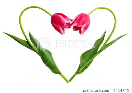 Heart Heart 6414745