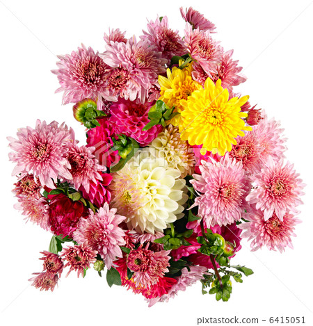 Autumn flowers 6415051