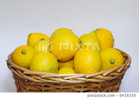 Lemon Lemon 6416330