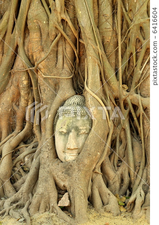 大城府的佛頭仍然存在 6416604