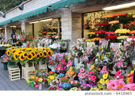 塔林的花店 塔林的花店 6418965