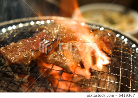 日本牛肉 日本牛肉 6419367