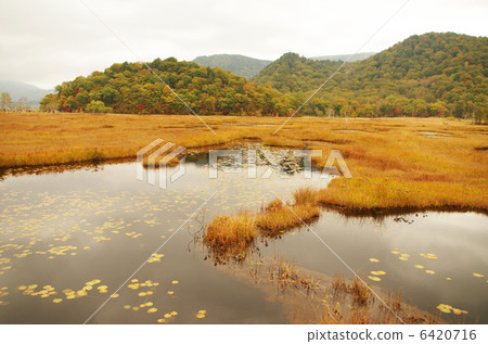 Ozekahara Ozekahara 6420716