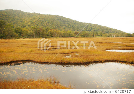 Ozekahara Ozekahara 6420717