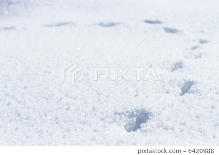 Footprints of the snowy field Footprints of the snowy field 6420988