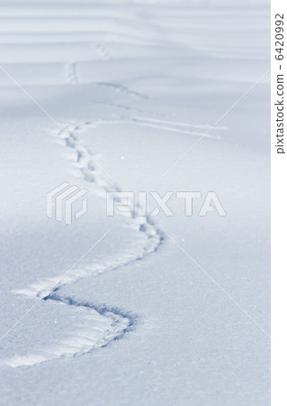 Footprints of the snowy field Footprints of the snowy field 6420992
