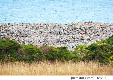Aikoshima Ishiduka burial mound group 6421199