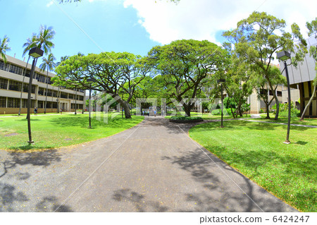 University of Hawaii Campus 6424247