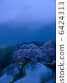 Cherry blossoms in three sides 6424313