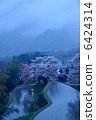 Cherry blossoms in three sides 6424314