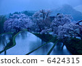 Cherry blossoms in three sides 6424315